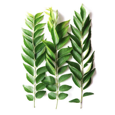 curry-leaves